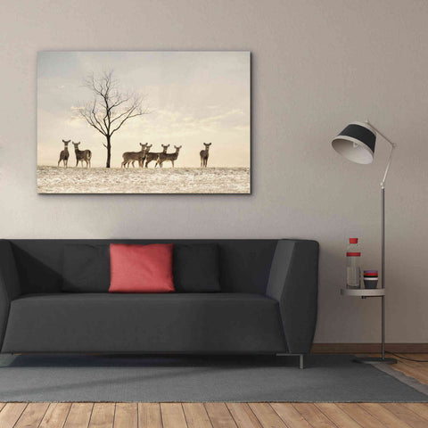 Image of 'Doe a Deer' by Lori Deiter, Canvas Wall Art,60 x 40