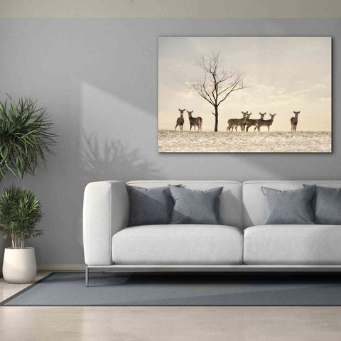 Image of 'Doe a Deer' by Lori Deiter, Canvas Wall Art,60 x 40