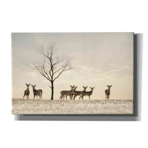 Image of 'Doe a Deer' by Lori Deiter, Canvas Wall Art
