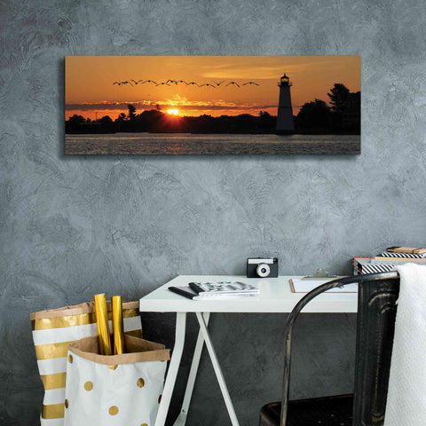 Image of 'Sunset Flight' by Lori Deiter, Canvas Wall Art,36 x 12