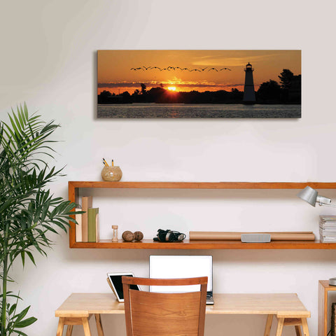Image of 'Sunset Flight' by Lori Deiter, Canvas Wall Art,36 x 12