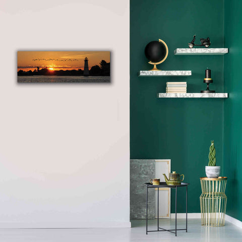 Image of 'Sunset Flight' by Lori Deiter, Canvas Wall Art,36 x 12