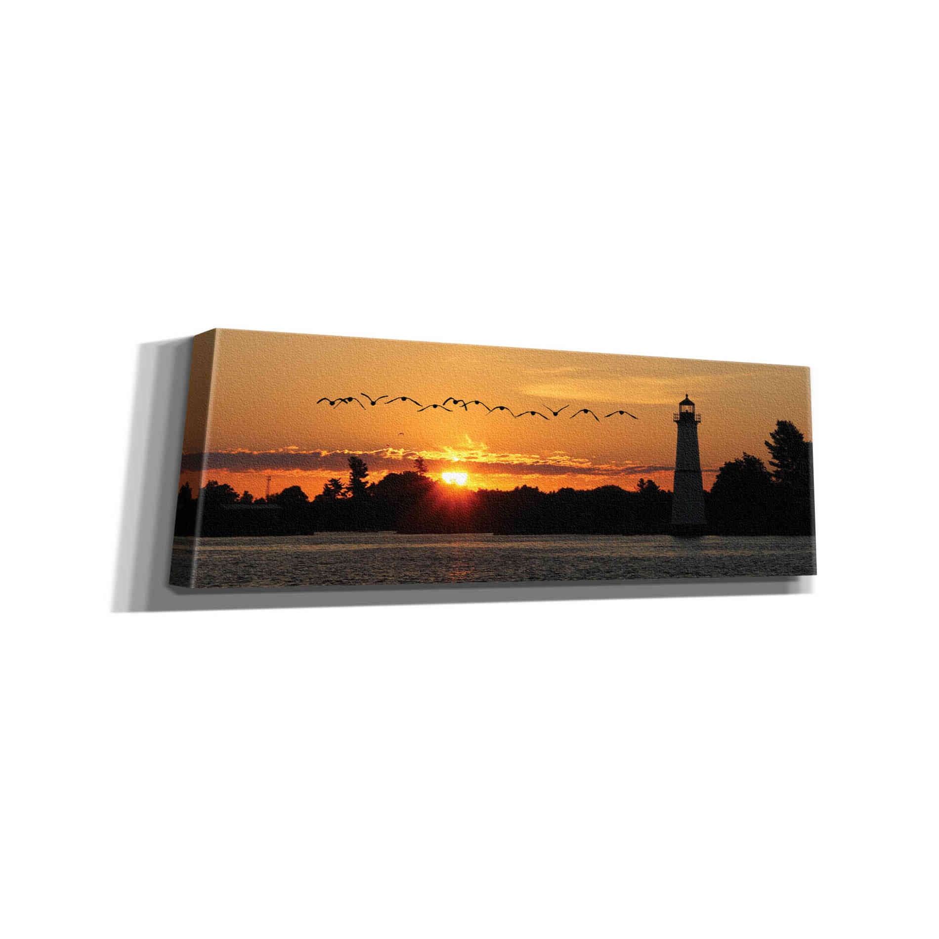 'Sunset Flight' by Lori Deiter, Canvas Wall Art