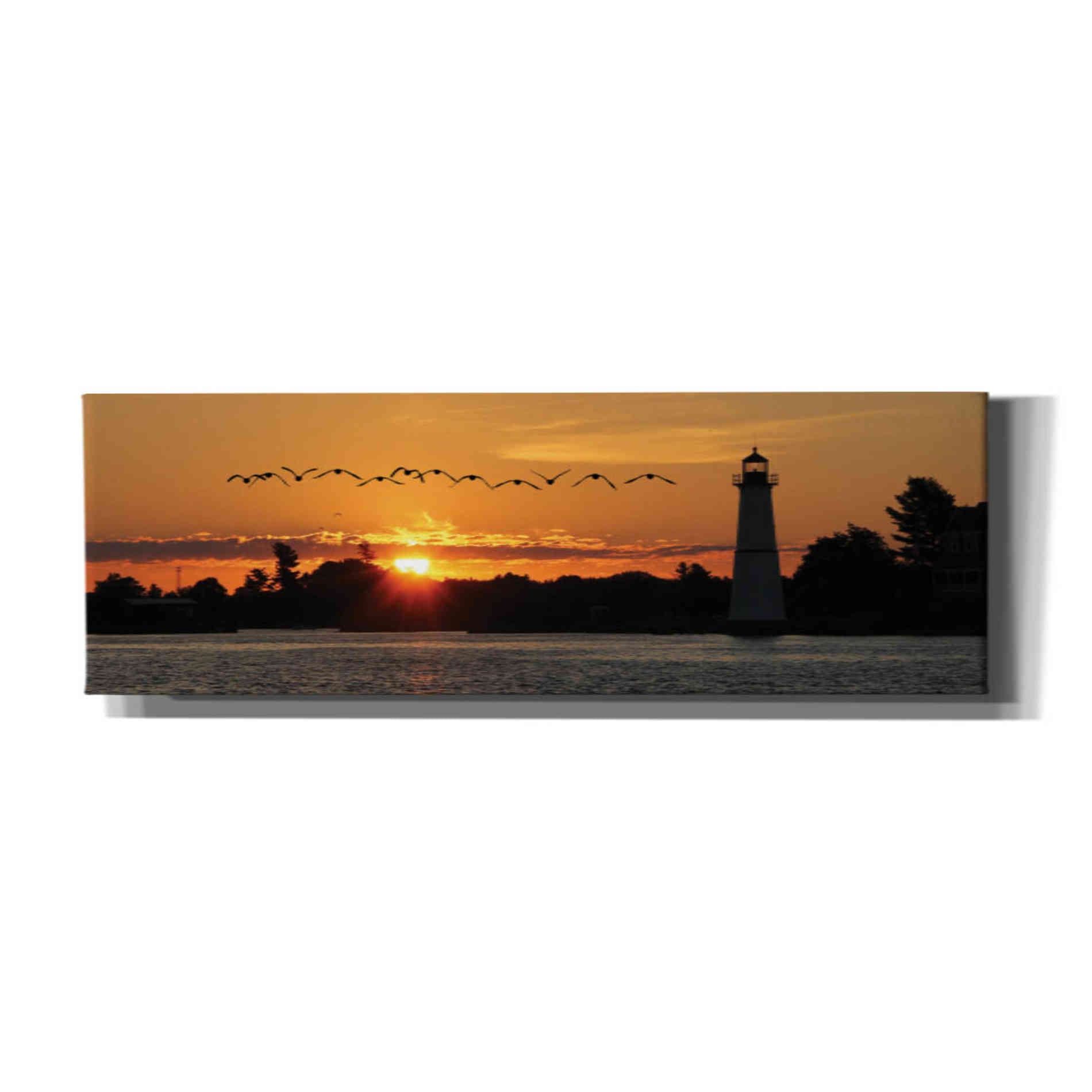 'Sunset Flight' by Lori Deiter, Canvas Wall Art