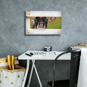 'Cow at Fence' by Lori Deiter, Canvas Wall Art,18 x 12