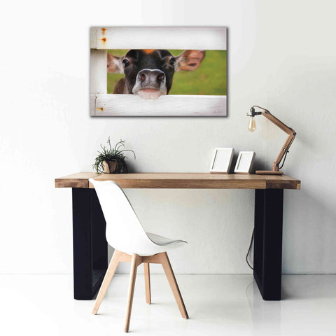 Image of 'Cow at Fence' by Lori Deiter, Canvas Wall Art,40 x 26