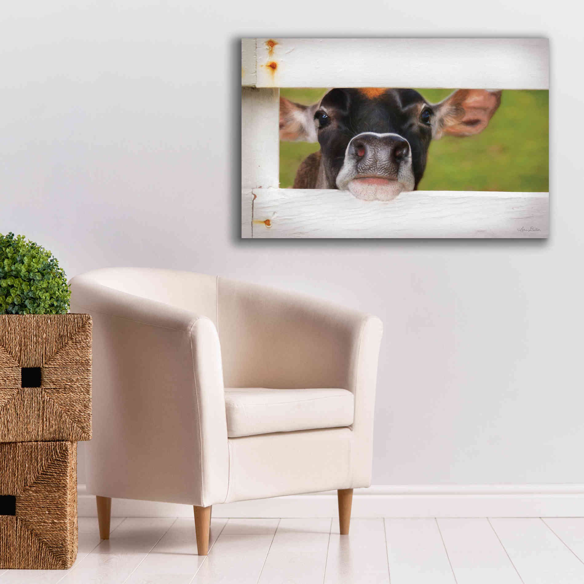 'Cow at Fence' by Lori Deiter, Canvas Wall Art,40 x 26