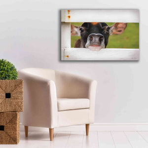'Cow at Fence' by Lori Deiter, Canvas Wall Art,40 x 26