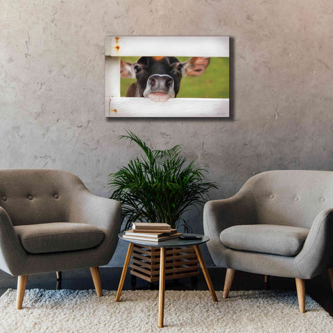 Image of 'Cow at Fence' by Lori Deiter, Canvas Wall Art,40 x 26