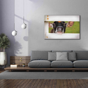 'Cow at Fence' by Lori Deiter, Canvas Wall Art,60 x 40