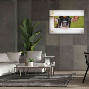 'Cow at Fence' by Lori Deiter, Canvas Wall Art,60 x 40