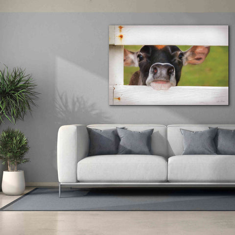 Image of 'Cow at Fence' by Lori Deiter, Canvas Wall Art,60 x 40
