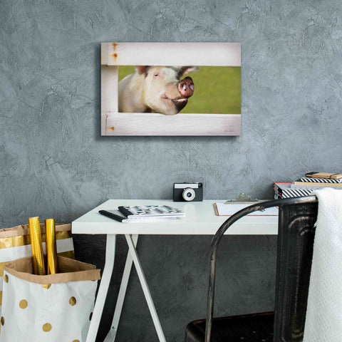 Image of 'Pig at Fence' by Lori Deiter, Canvas Wall Art,18 x 12