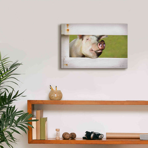 Image of 'Pig at Fence' by Lori Deiter, Canvas Wall Art,18 x 12