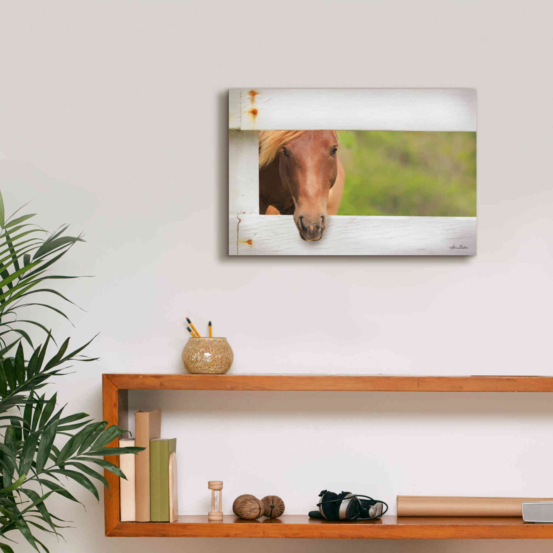 'Horse at Fence' by Lori Deiter, Canvas Wall Art,18 x 12
