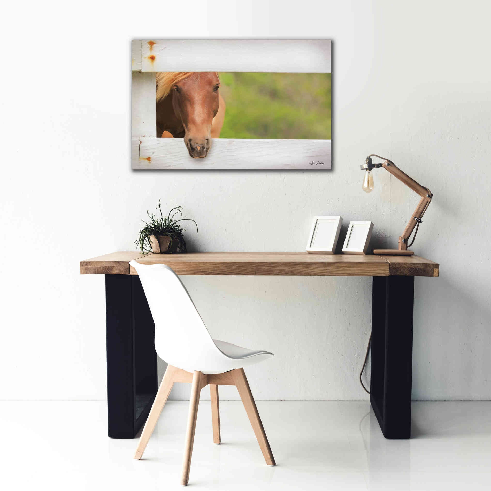'Horse at Fence' by Lori Deiter, Canvas Wall Art,40 x 26