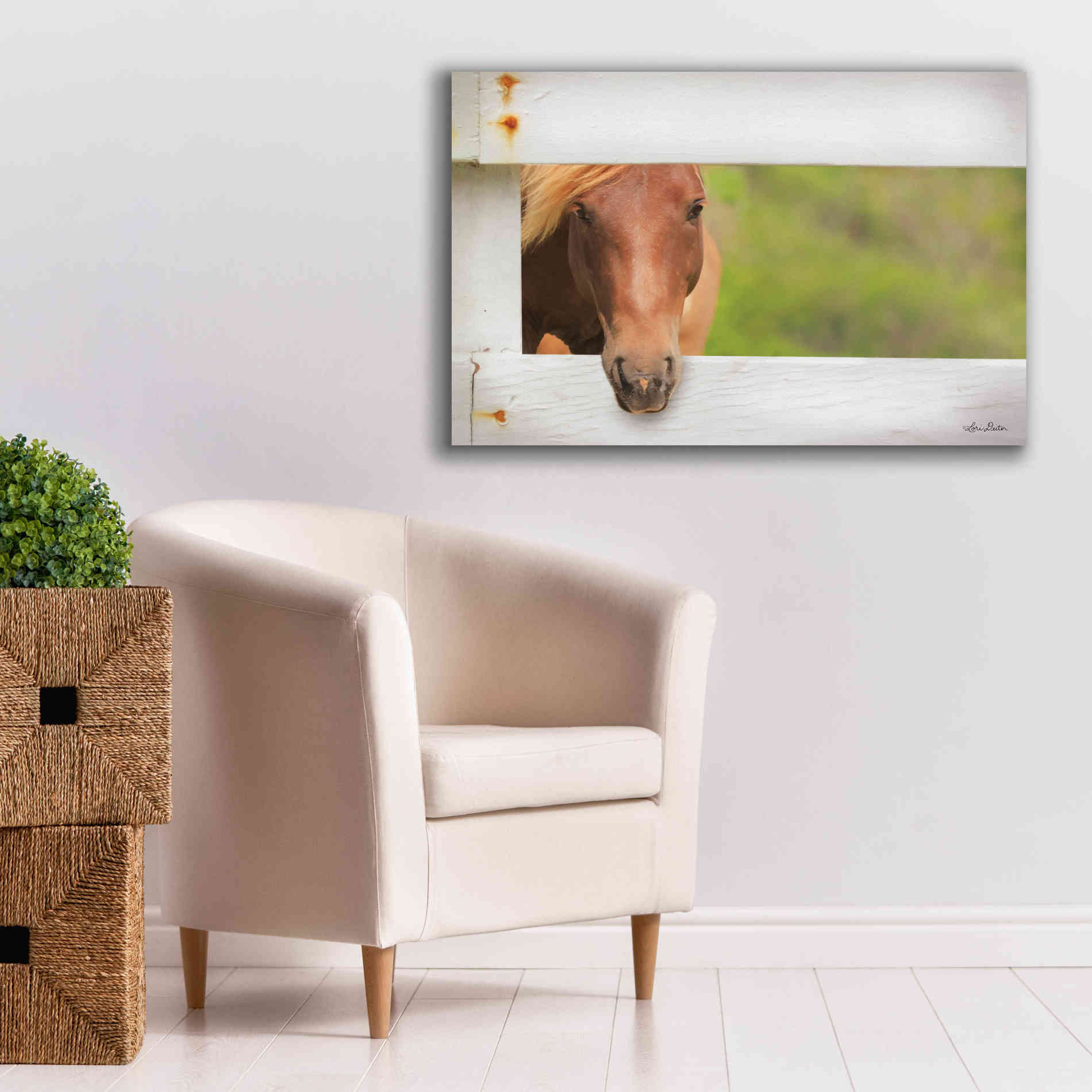 'Horse at Fence' by Lori Deiter, Canvas Wall Art,40 x 26