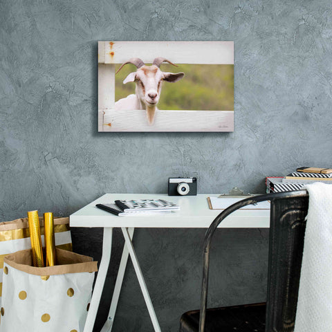 Image of 'Goat at Fence' by Lori Deiter, Canvas Wall Art,18 x 12