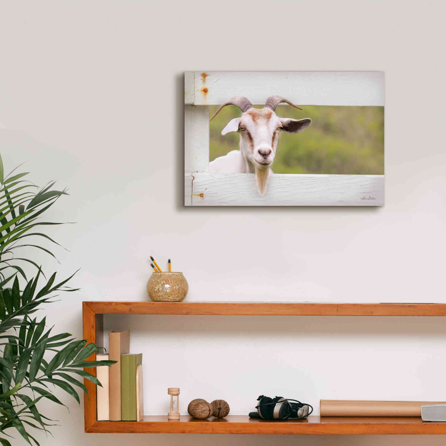 'Goat at Fence' by Lori Deiter, Canvas Wall Art,18 x 12