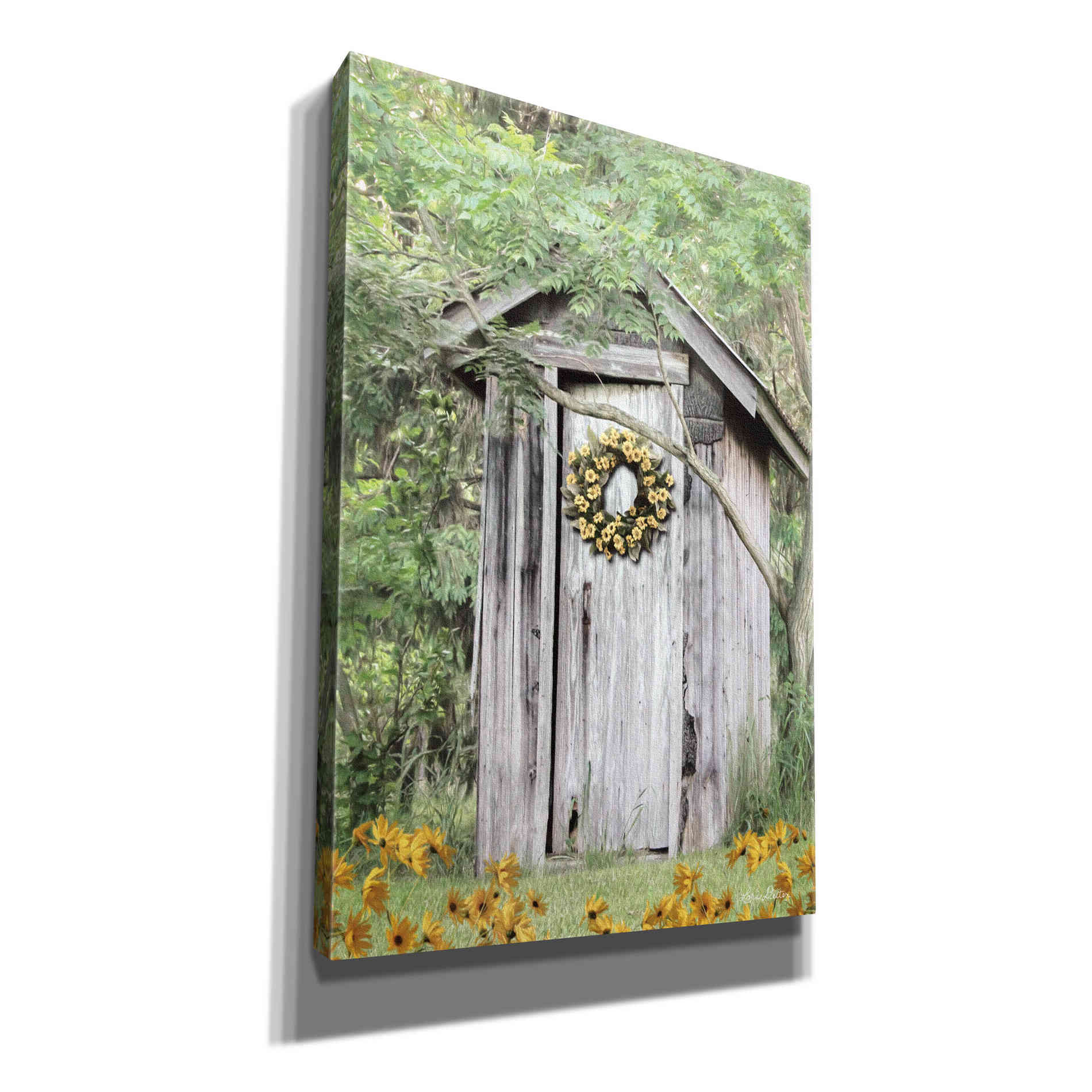 'Flower Power' by Lori Deiter, Canvas Wall Art