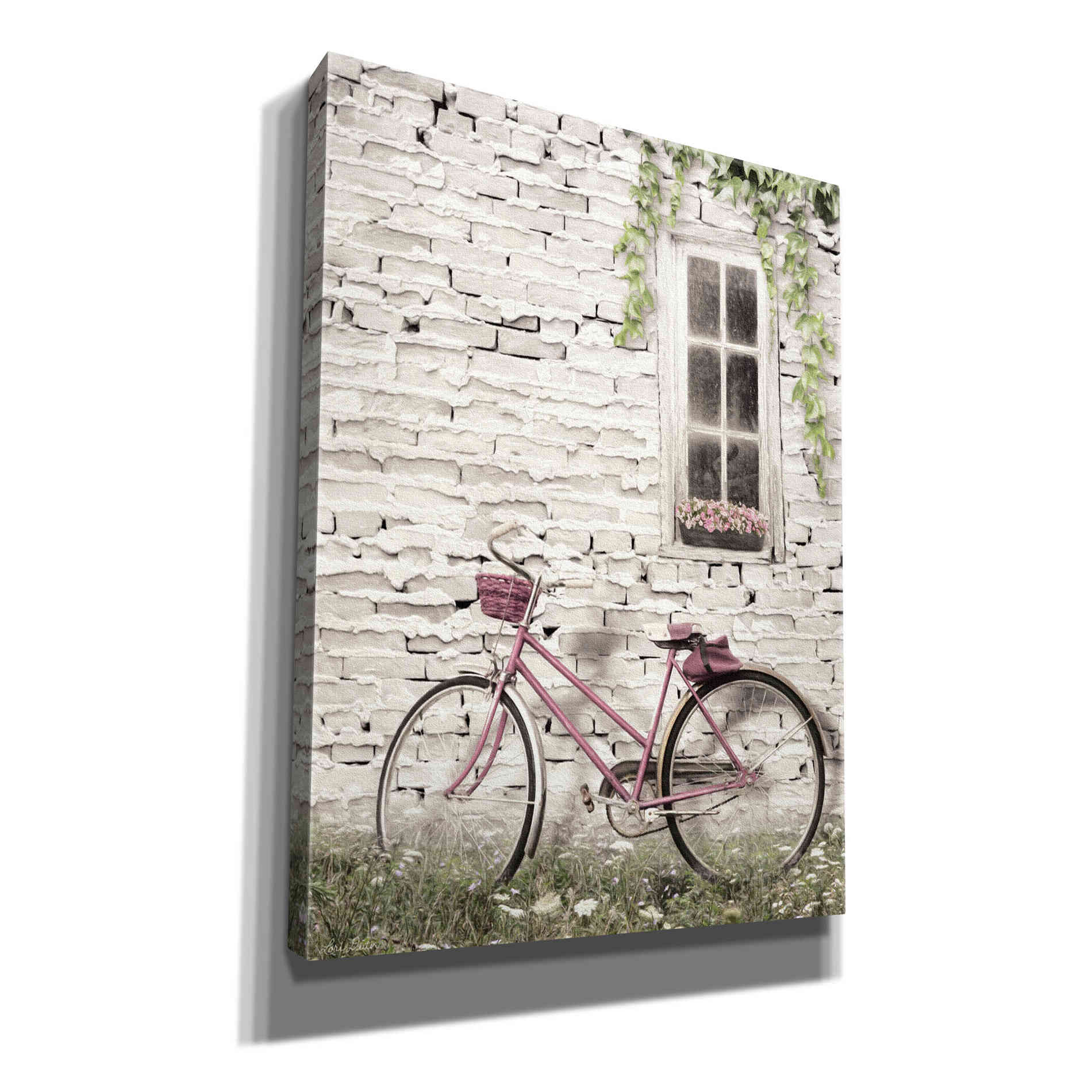 'Ready for a Bike Ride' by Lori Deiter, Canvas Wall Art