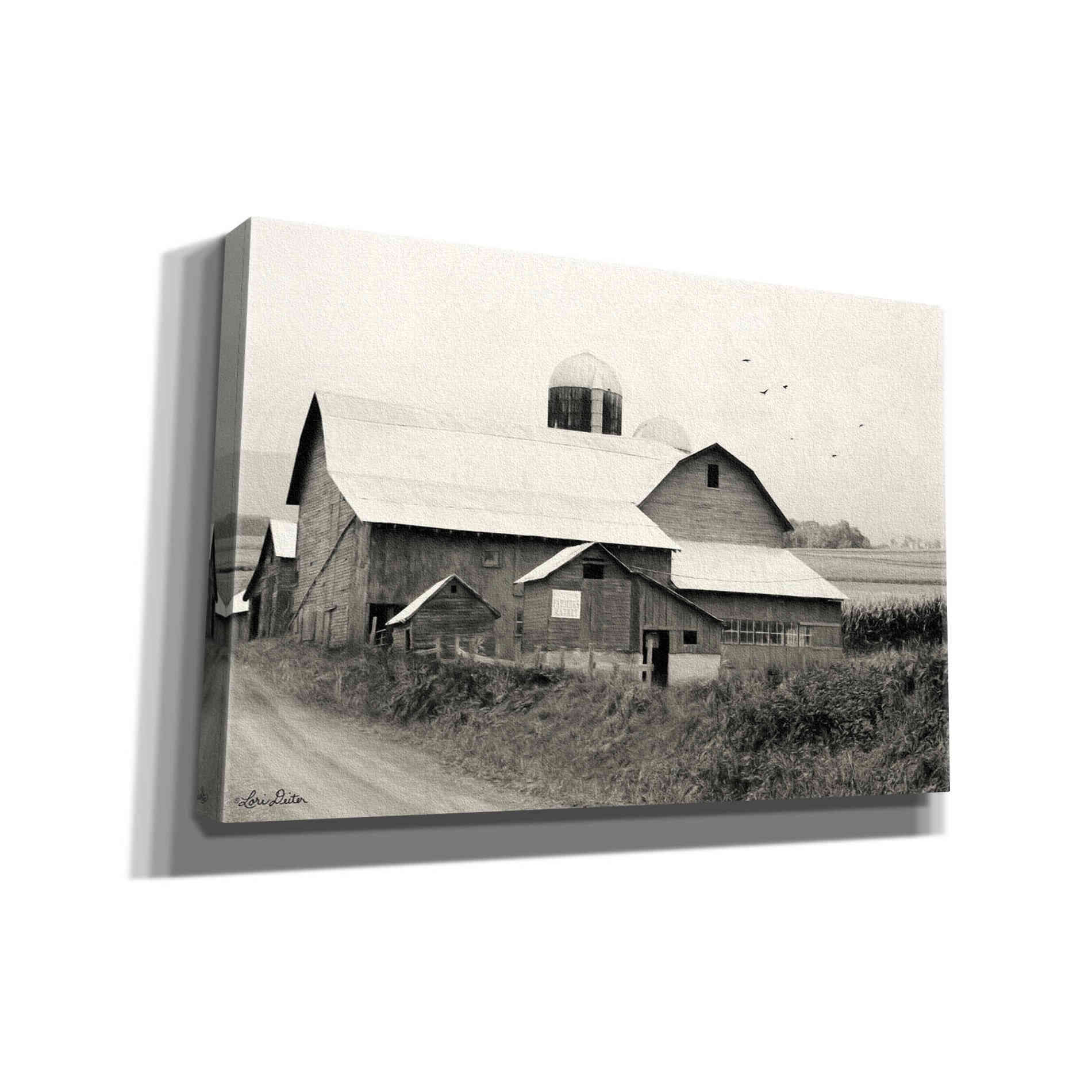 'Rural Charm' by Lori Deiter, Canvas Wall Art