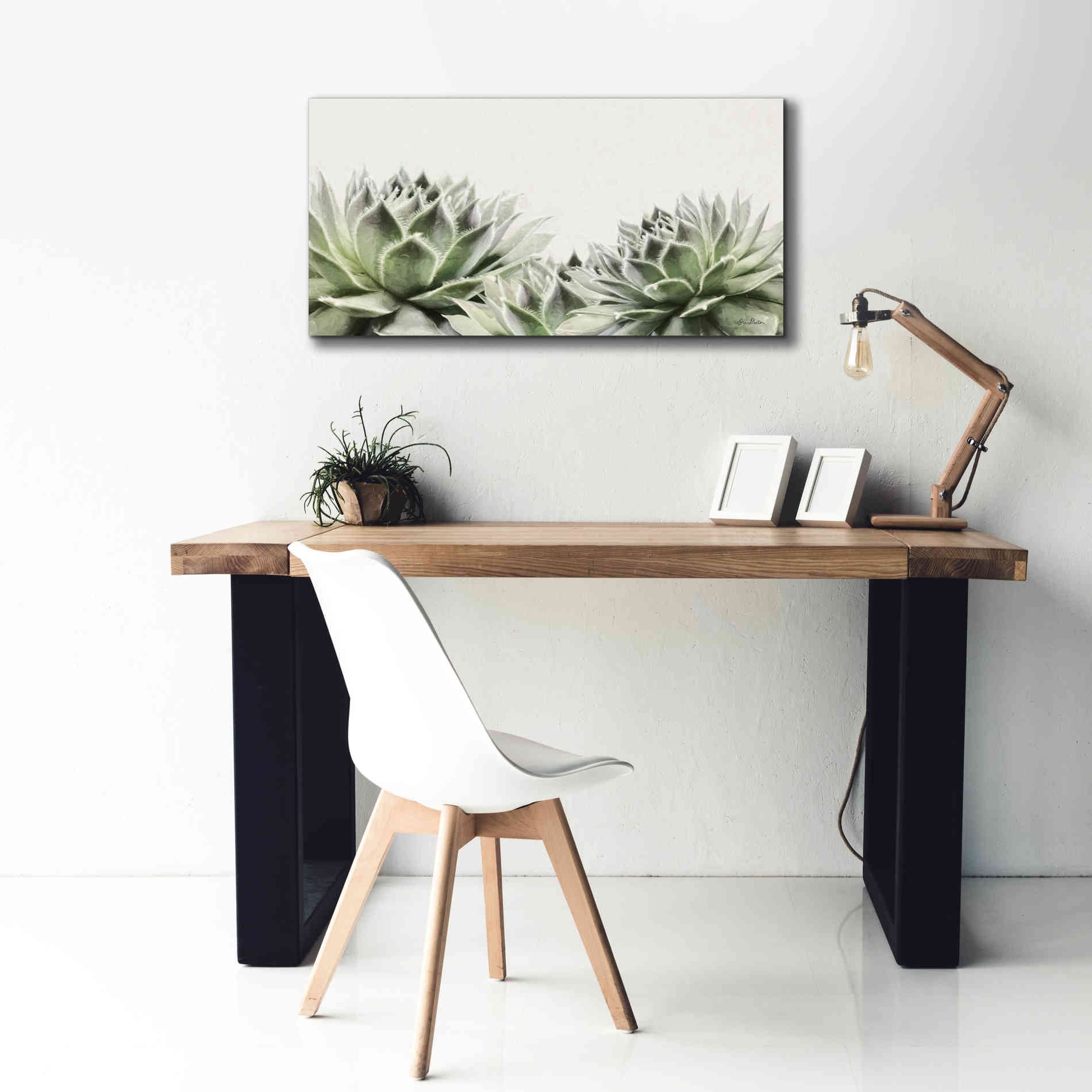 'Soft Succulents I' by Lori Deiter, Canvas Wall Art,40 x 20