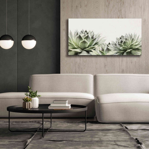 Image of 'Soft Succulents I' by Lori Deiter, Canvas Wall Art,60 x 30