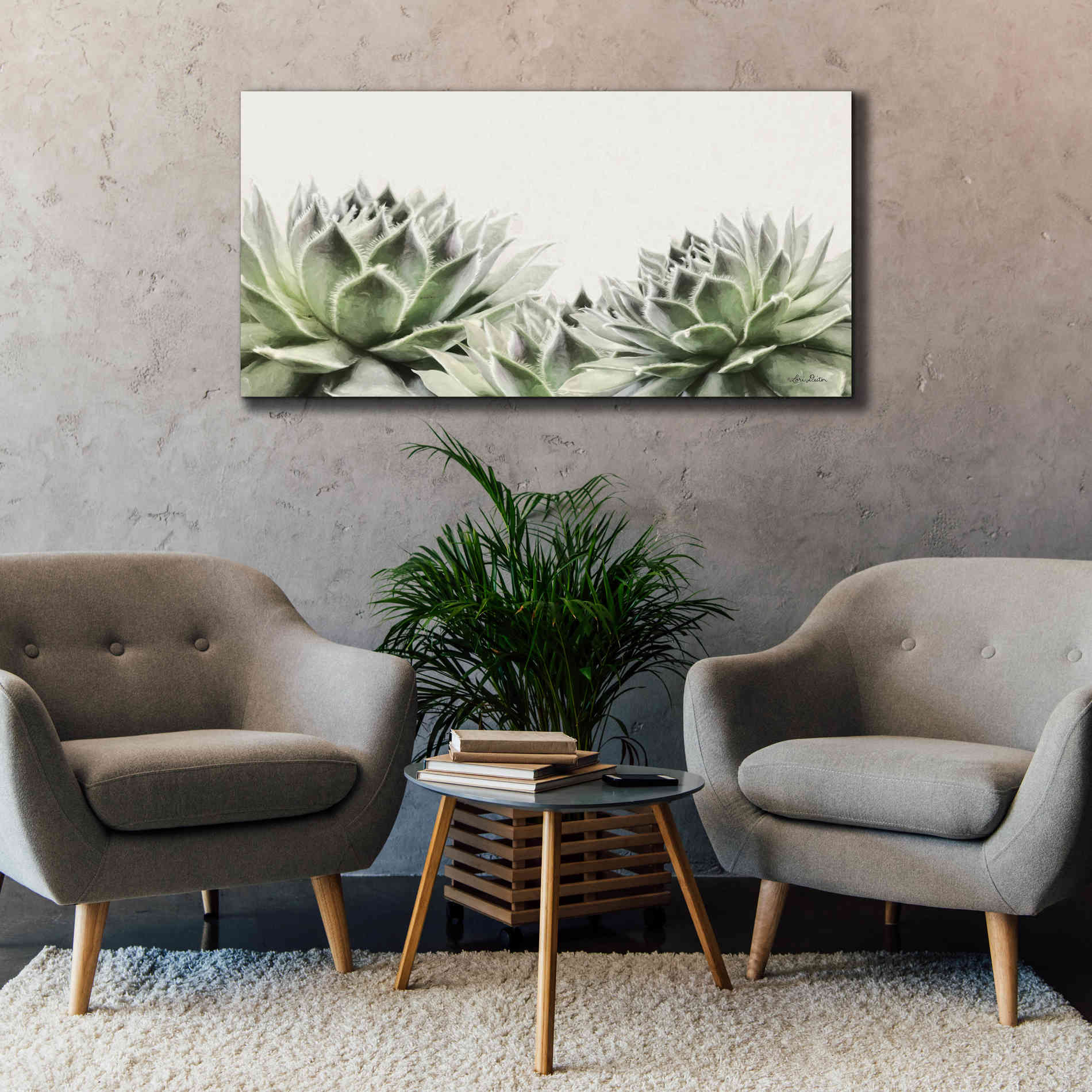 'Soft Succulents I' by Lori Deiter, Canvas Wall Art,60 x 30