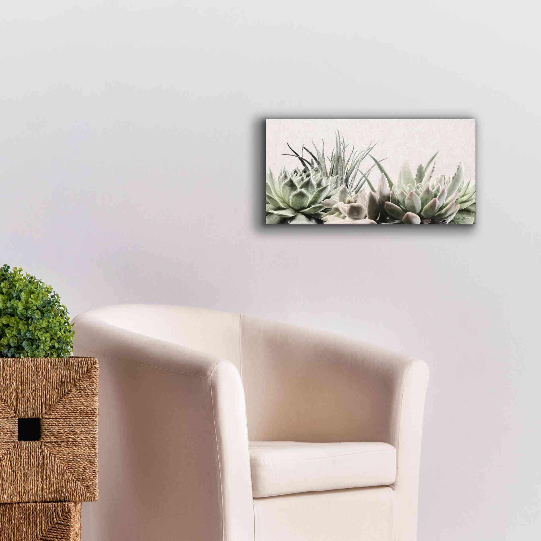 'Soft Succulents II' by Lori Deiter, Canvas Wall Art,24 x 12