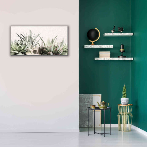 Image of 'Soft Succulents II' by Lori Deiter, Canvas Wall Art,40 x 20