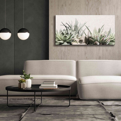 Image of 'Soft Succulents II' by Lori Deiter, Canvas Wall Art,60 x 30