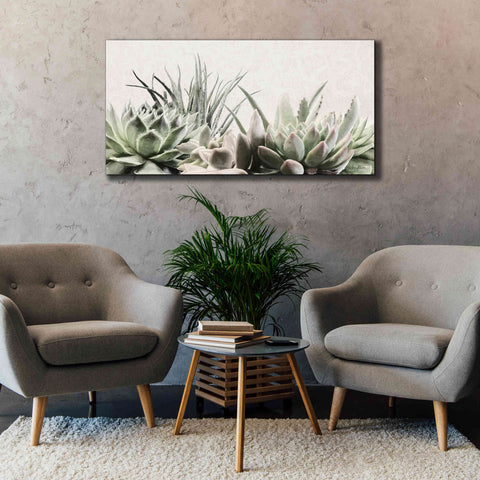 Image of 'Soft Succulents II' by Lori Deiter, Canvas Wall Art,60 x 30