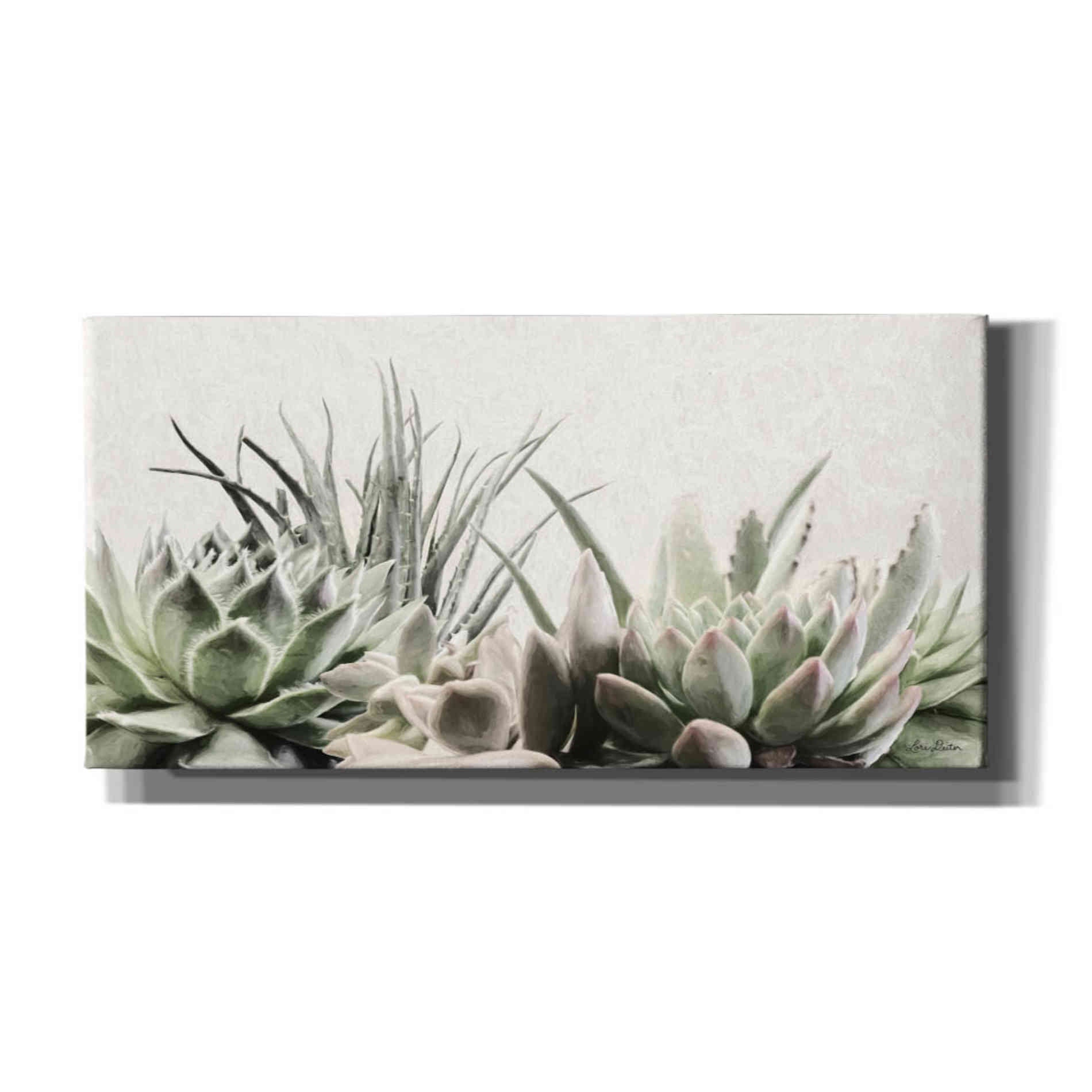 'Soft Succulents II' by Lori Deiter, Canvas Wall Art