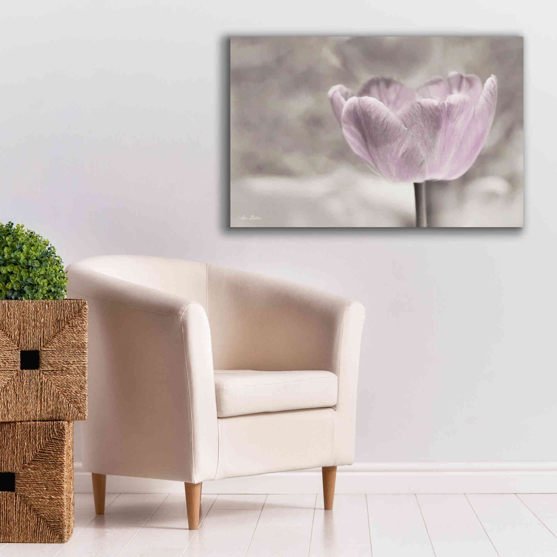'Violet Tulip' by Lori Deiter, Canvas Wall Art,40 x 26