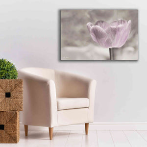 'Violet Tulip' by Lori Deiter, Canvas Wall Art,40 x 26