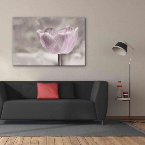 Image of 'Violet Tulip' by Lori Deiter, Canvas Wall Art,60 x 40