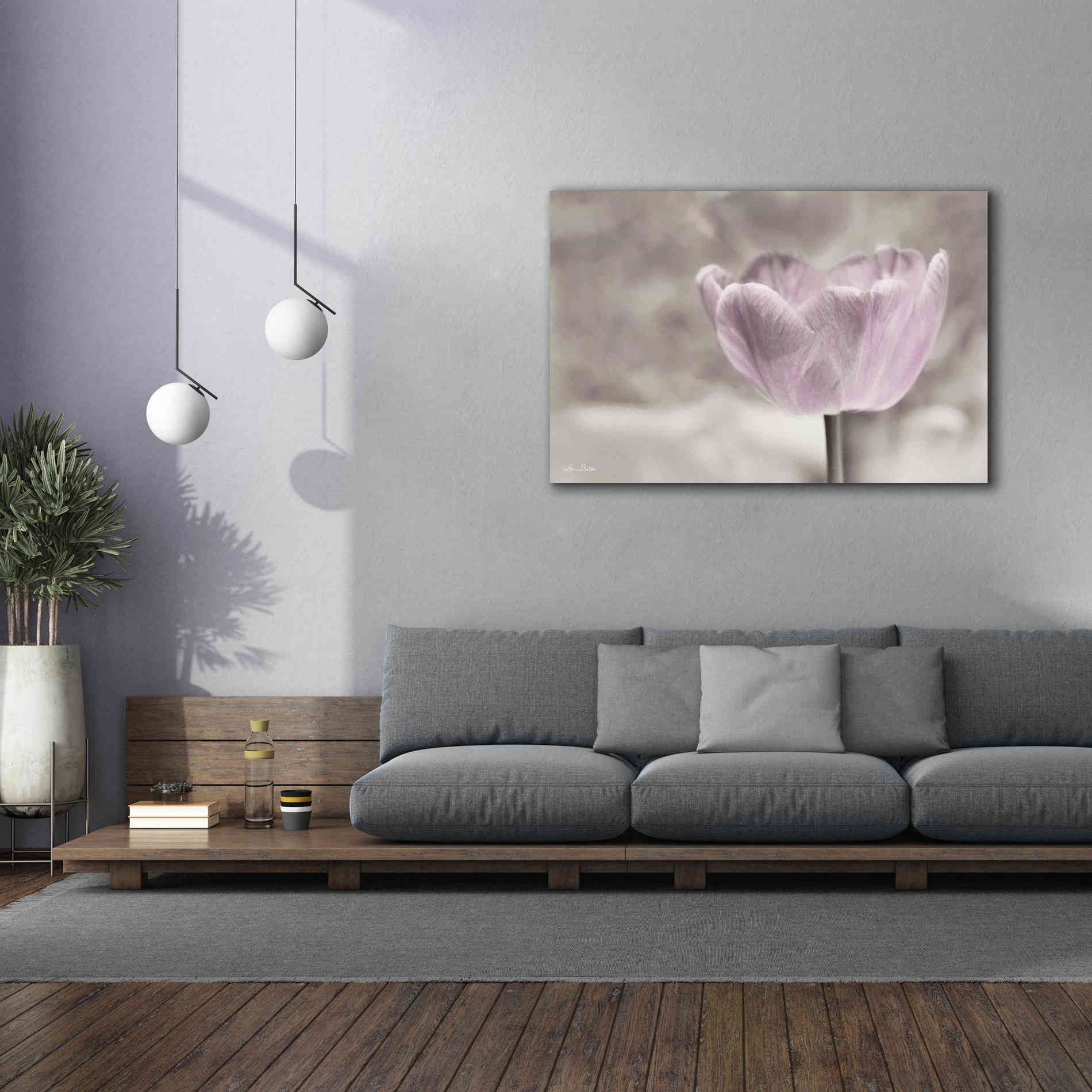 'Violet Tulip' by Lori Deiter, Canvas Wall Art,60 x 40