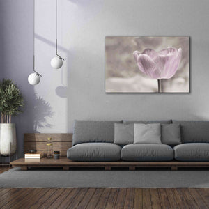'Violet Tulip' by Lori Deiter, Canvas Wall Art,60 x 40