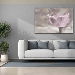 'Violet Tulip' by Lori Deiter, Canvas Wall Art,60 x 40