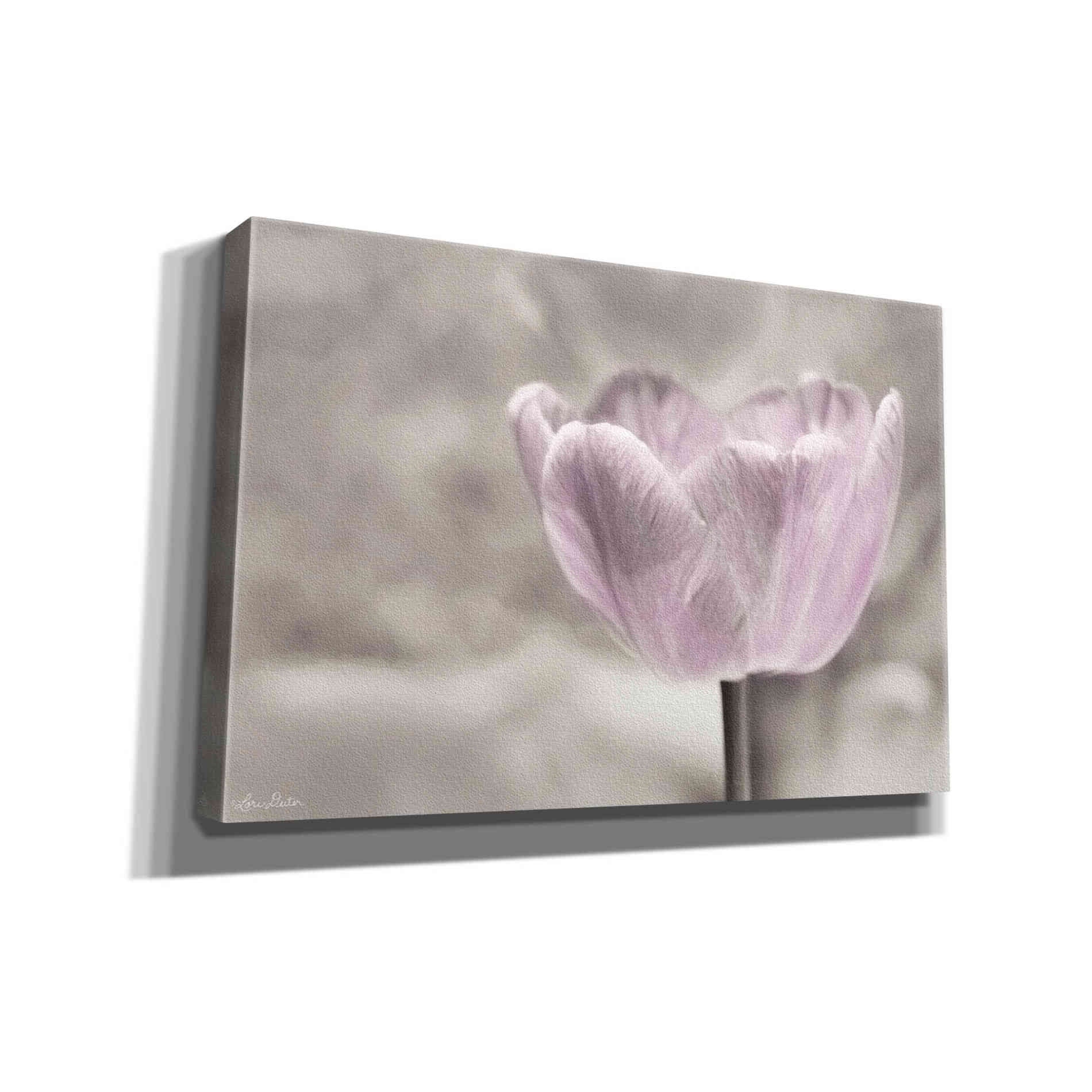 'Violet Tulip' by Lori Deiter, Canvas Wall Art