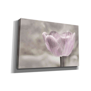 'Violet Tulip' by Lori Deiter, Canvas Wall Art
