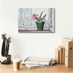 'Take a Bow Tulip' by Lori Deiter, Canvas Wall Art,18 x 12