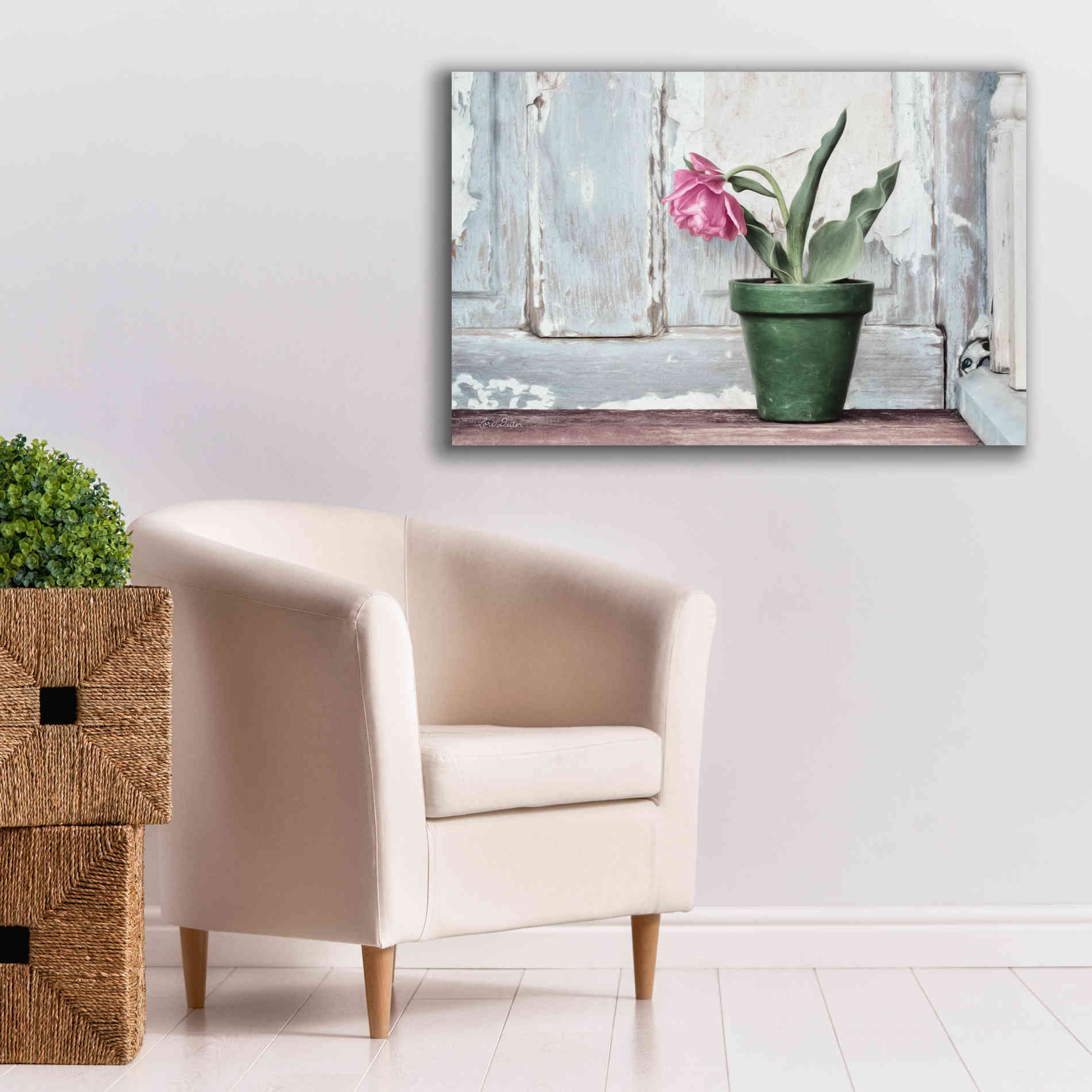 'Take a Bow Tulip' by Lori Deiter, Canvas Wall Art,40 x 26