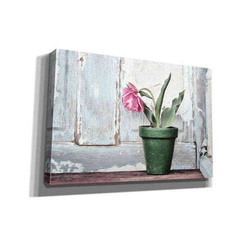 Image of 'Take a Bow Tulip' by Lori Deiter, Canvas Wall Art