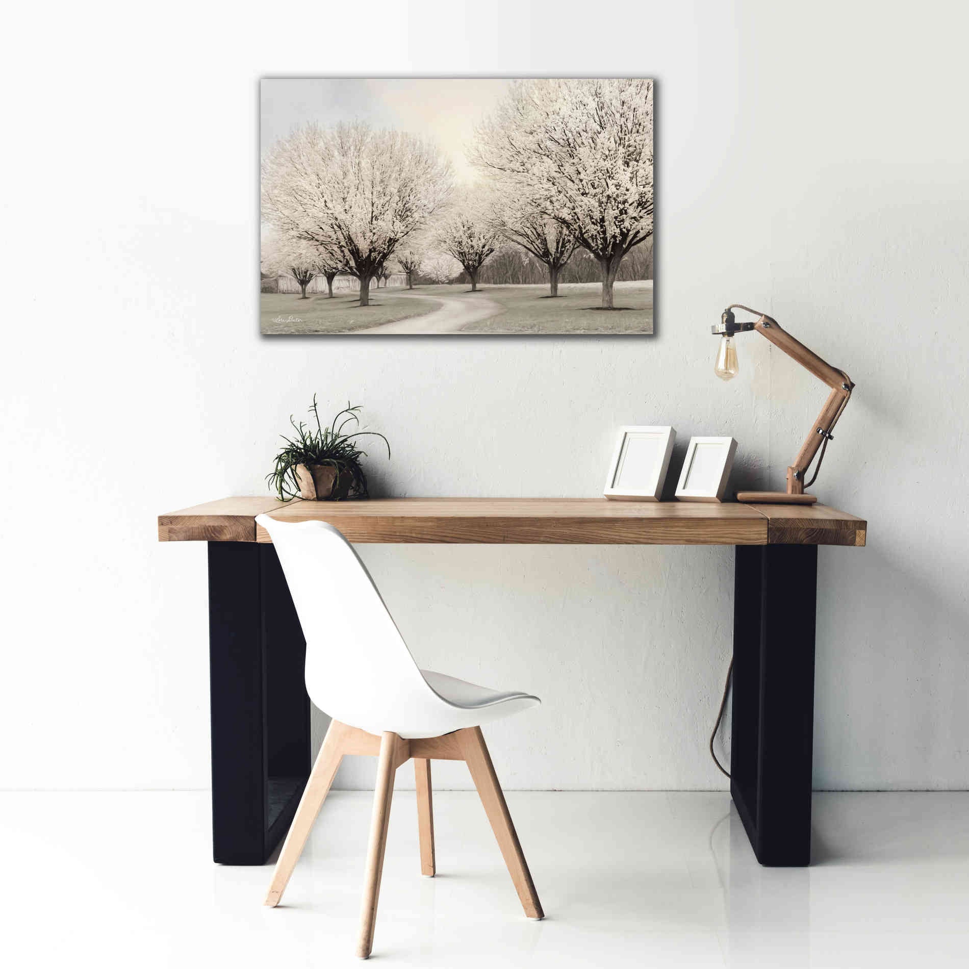 'In Full Bloom' by Lori Deiter, Canvas Wall Art,40 x 26