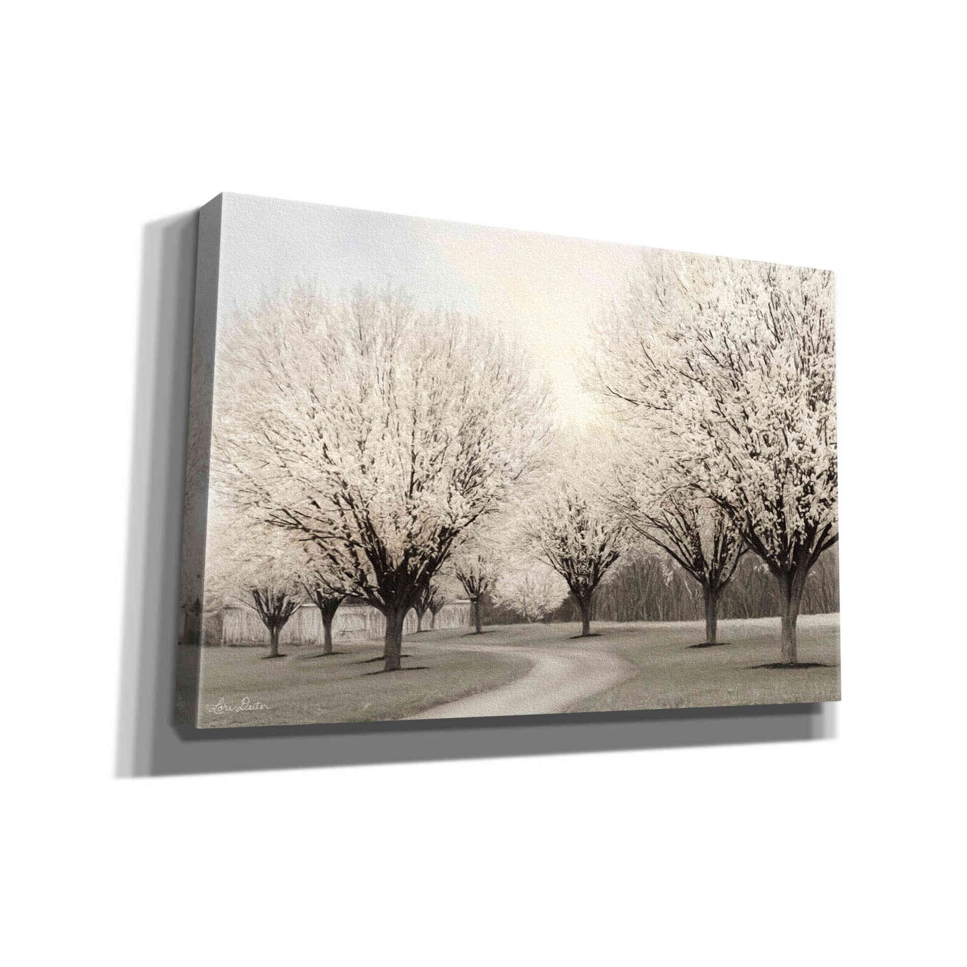 'In Full Bloom' by Lori Deiter, Canvas Wall Art