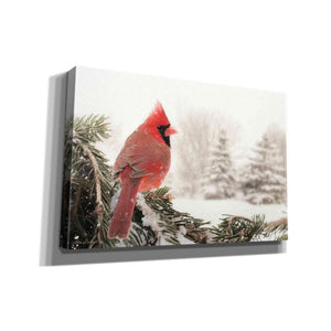 'Winter Perch' by Lori Deiter, Canvas Wall Art