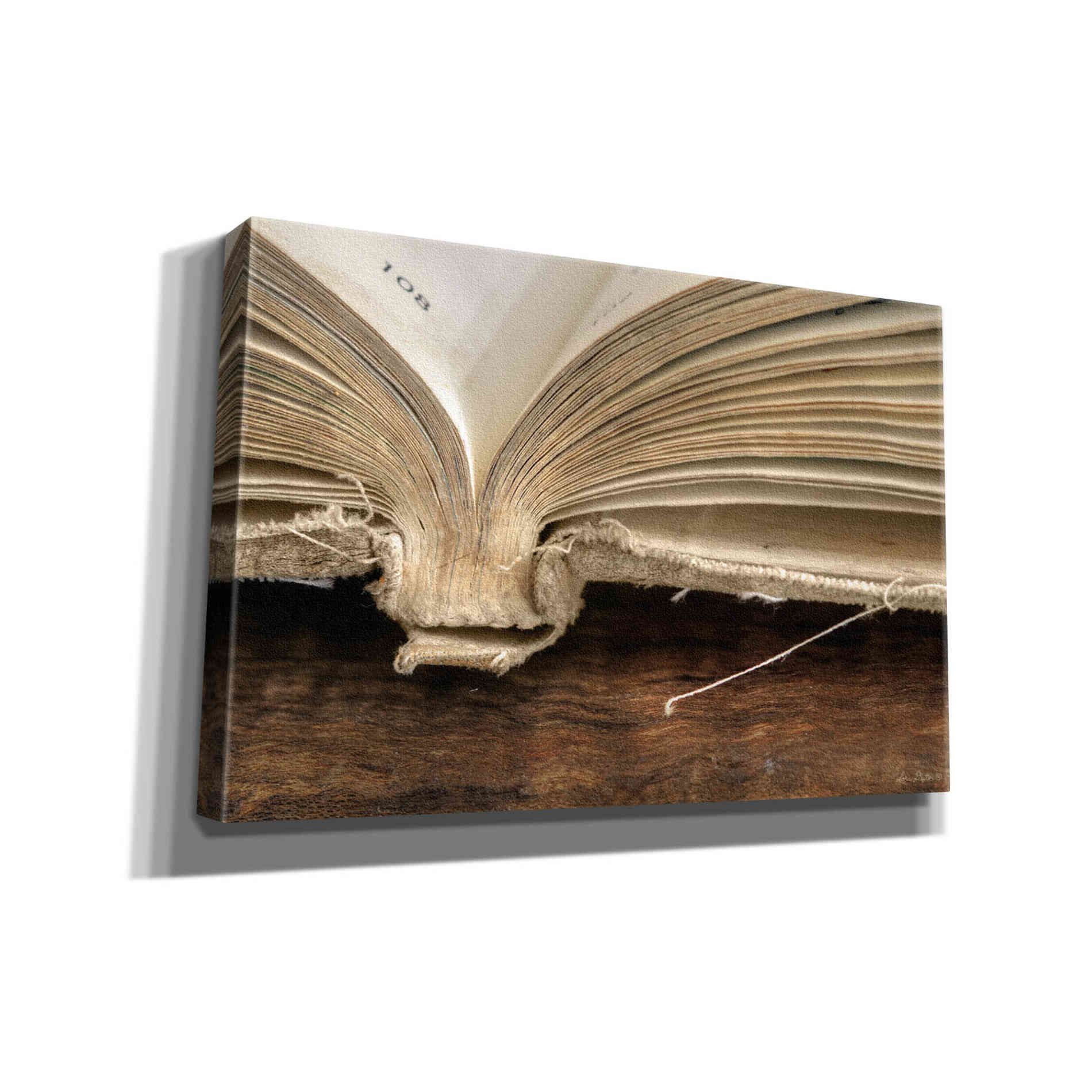 'Page 108' by Lori Deiter, Canvas Wall Art