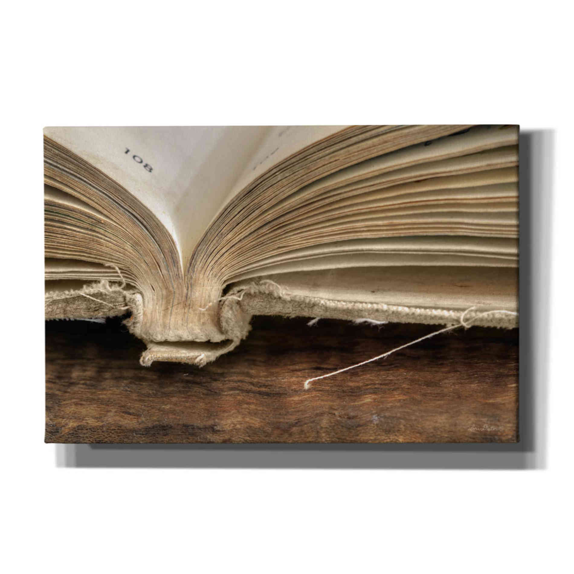 'Page 108' by Lori Deiter, Canvas Wall Art